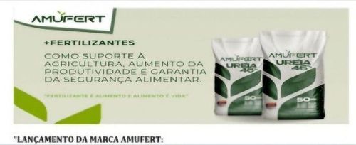 Notícia
